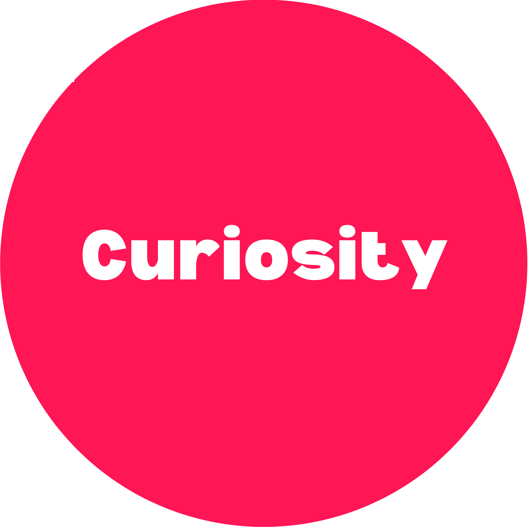 curiosity curiosity